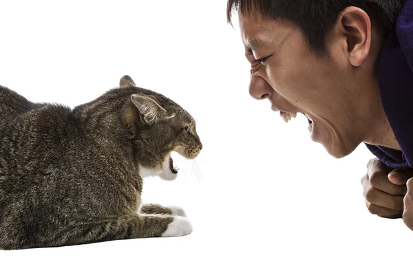 Muž proti kočičí - vrčení čelí — Stock fotografie