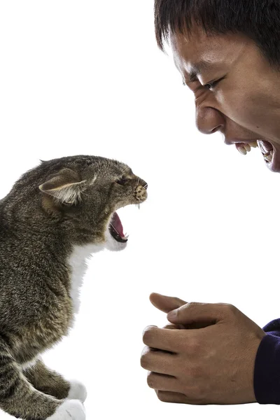Muž a kočka v hněvu — Stock fotografie