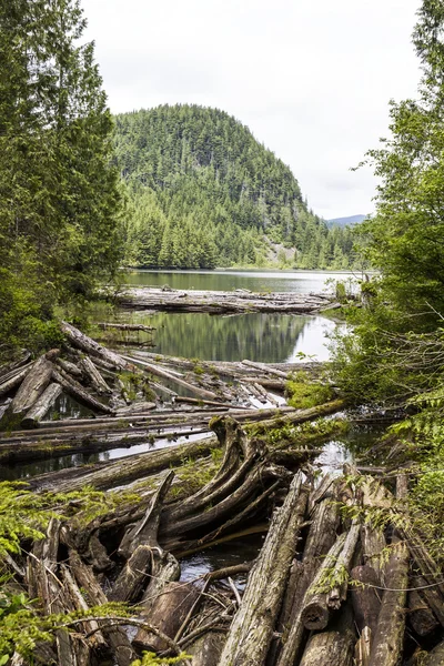 Mountain Lake no estado de Washington — Fotografia de Stock