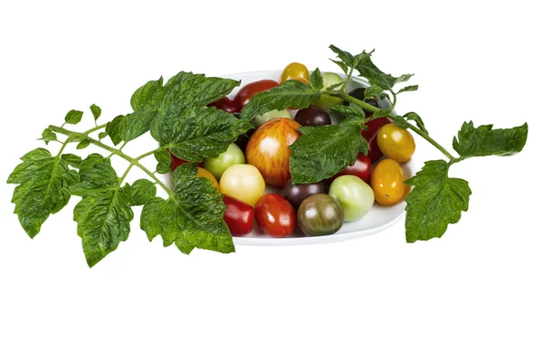 Colorful Cherry Tomatoes on White — Stock Photo, Image