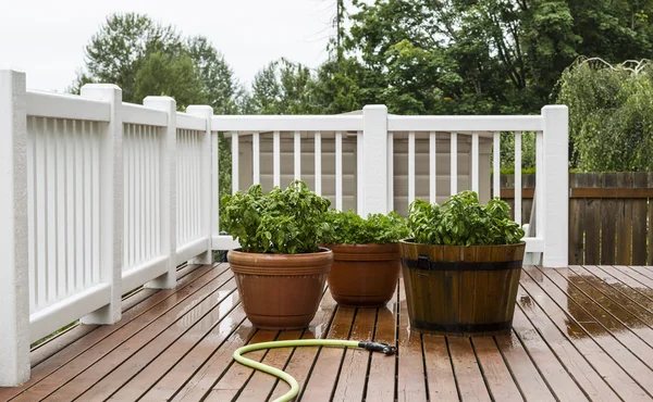 Gartenpflanzen auf der Terrasse gießen — Stockfoto