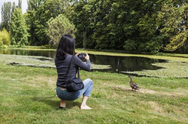 Lady taking photo of wildlife