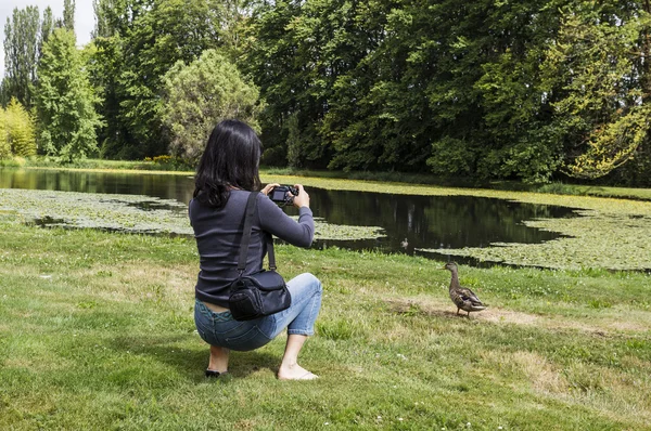 Lady taking photo of wildlife — Stockfoto