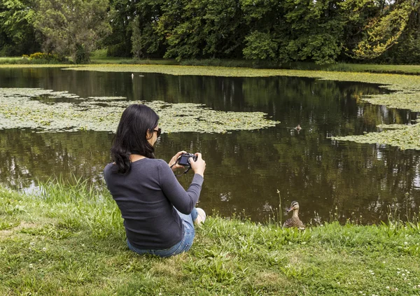 stock image Bird Watching