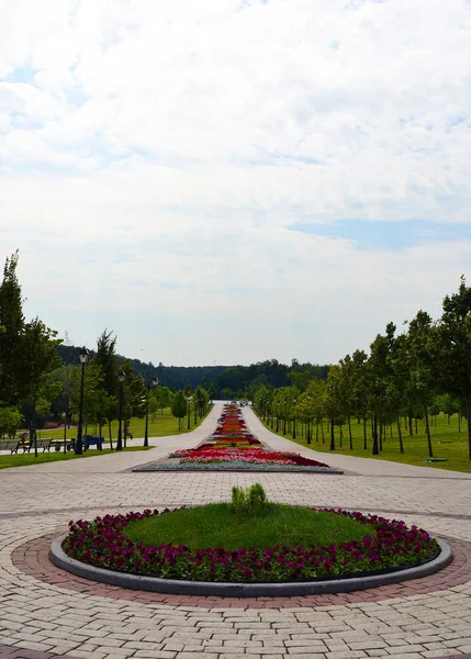 stock image Tsaritsino Park in Moscow, Russia