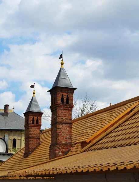 Димні на даху старого будинку — стокове фото