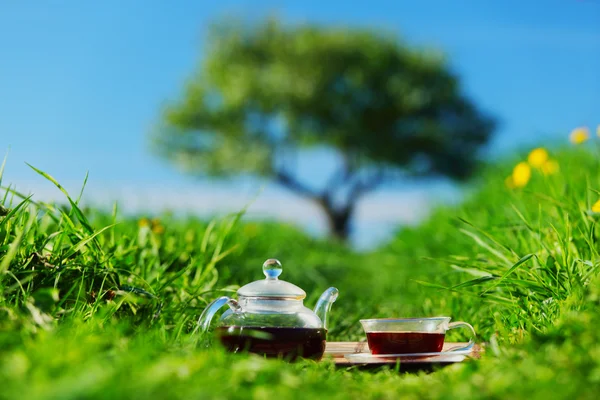 stock image Natural tea