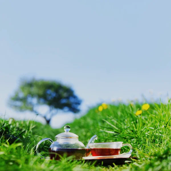 stock image Natural tea