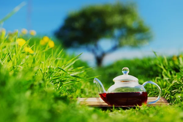 stock image Natural tea