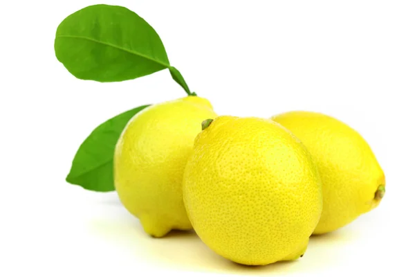 Lemons isolated on white background — Stock Photo, Image