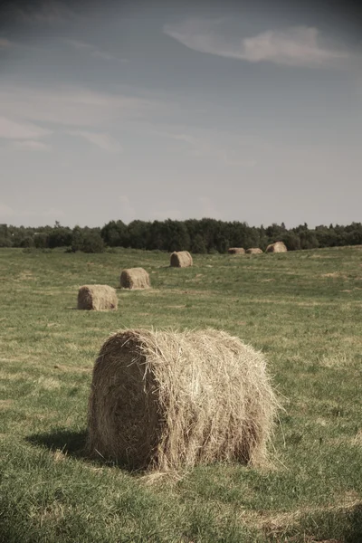 Rolling haystack en el campo de verano — Foto de Stock