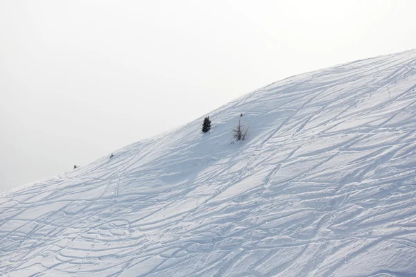 在雪上滑雪痕迹 — 图库照片