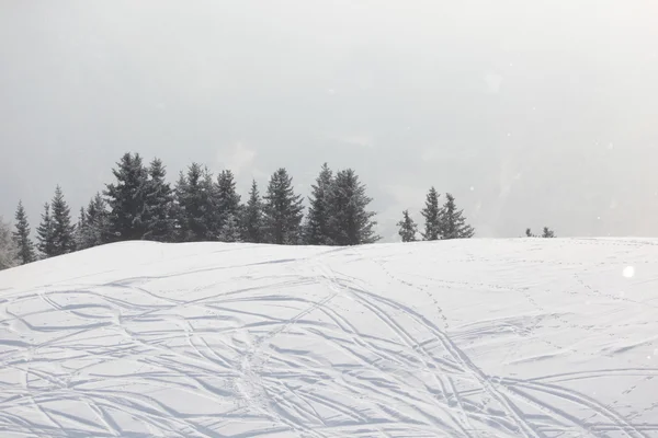 Лижні сліди на снігу — стокове фото