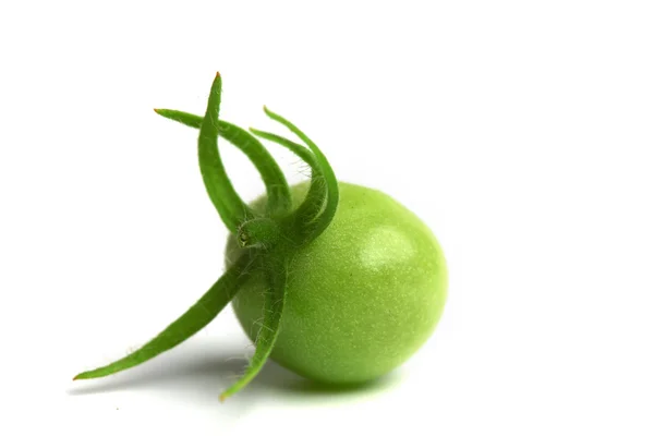 Grön tomat — Stockfoto