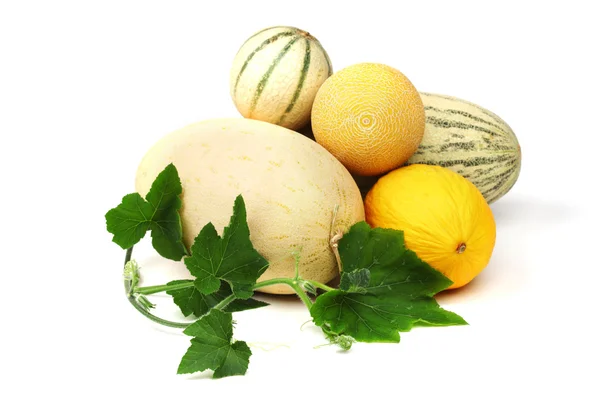 Different melon — Stock Photo, Image