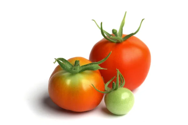 stock image Tomato pile on white