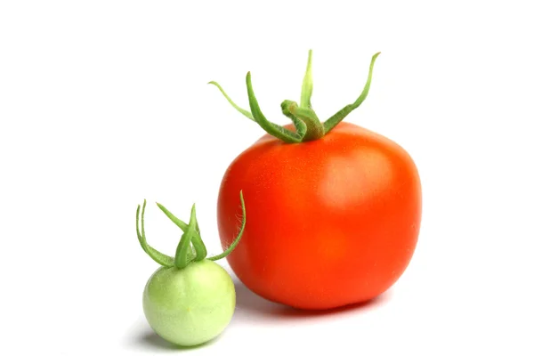 Stock image Tomato pile on white