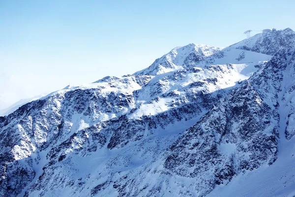 Upp i Alperna Stockfoto