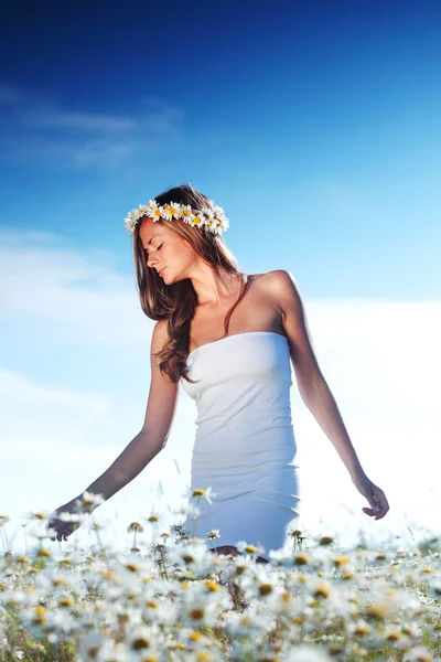 Menina de vestido no campo de flores da margarida — Fotografia de Stock