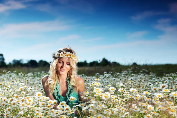 Meisje op het gebied van de bloemen daisy — Stockfoto