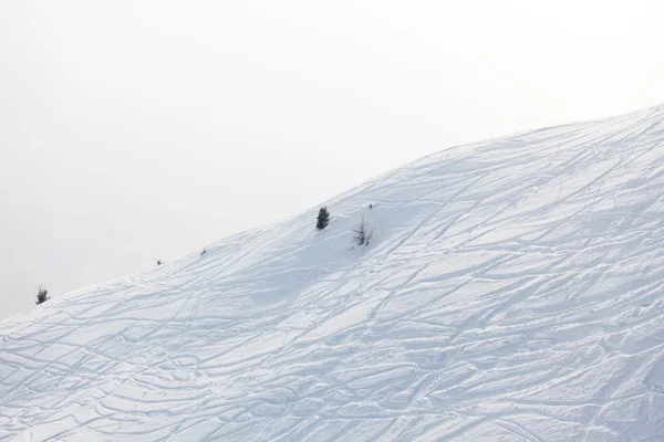 在雪上滑雪痕迹 — 图库照片