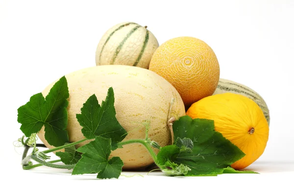 Different melon — Stock Photo, Image