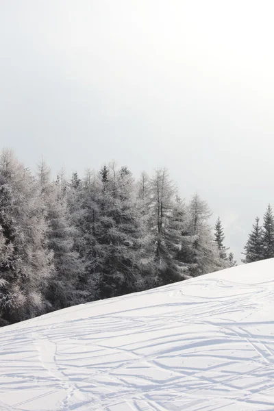 Skispuren im Schnee — Stockfoto