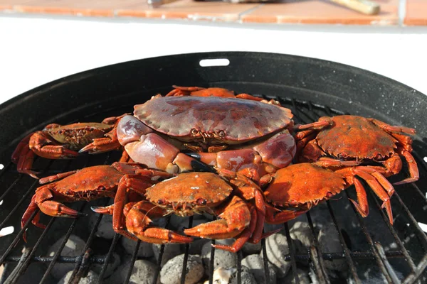 Crabe sur barbecue au charbon de bois — Photo