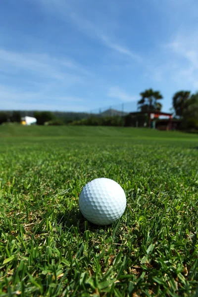 Pallone da golf in rotta — Foto Stock