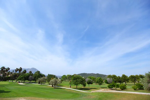 stock image Green grass on a golf field