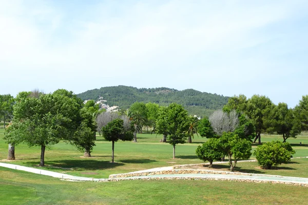 Erba verde su un campo da golf — Foto Stock