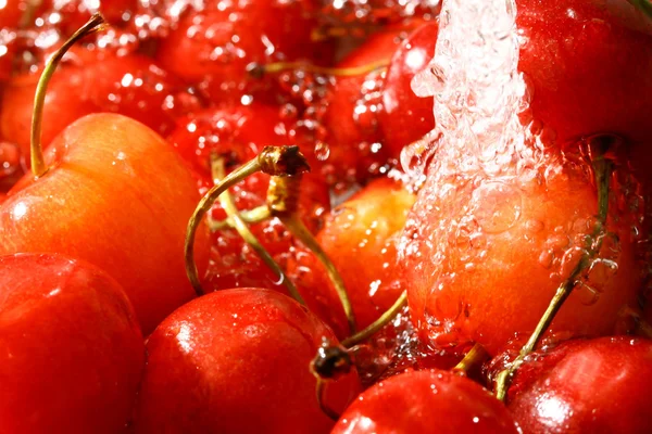 Sweet cherry under wet — Stockfoto