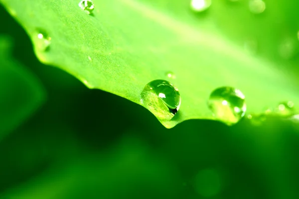 Stock image Natural waterdrop