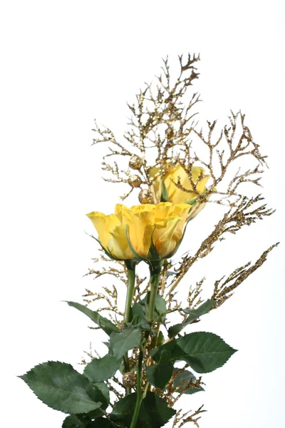 stock image Yellow roses