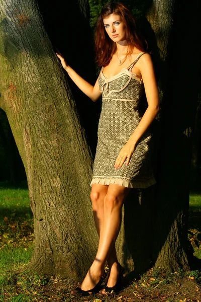 Ağacın yanında kız — Stok fotoğraf
