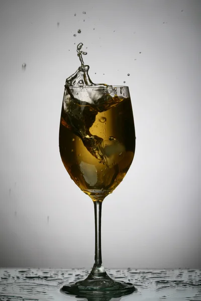 알코올 스플래시 — 스톡 사진