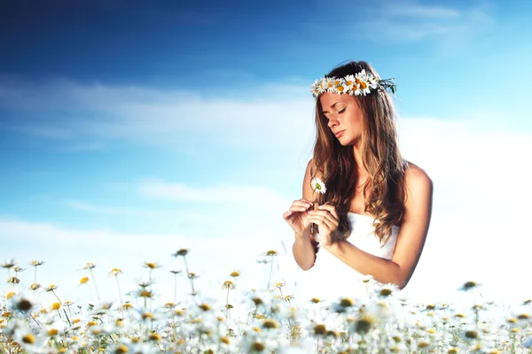 Chica en vestido en el campo de flores de margarita —  Fotos de Stock