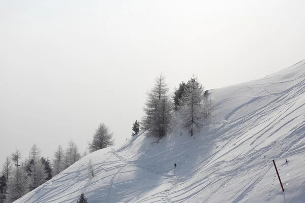 Tracce di sci sulla neve — Foto Stock