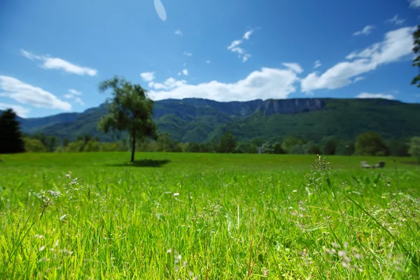 Alpes de primavera — Foto de Stock