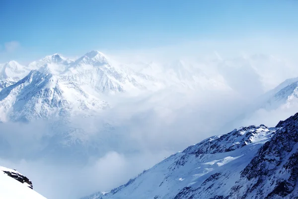 Вершина Альп — стоковое фото