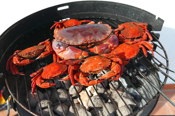 Crab on charcoal grill — Stock Photo, Image