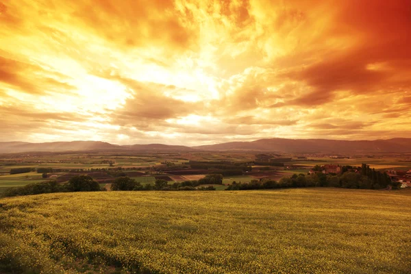Zielona łąka pod zachodem słońca niebo z chmurami — Zdjęcie stockowe