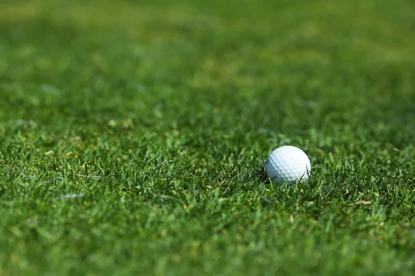 Golf-ball em curso — Fotografia de Stock