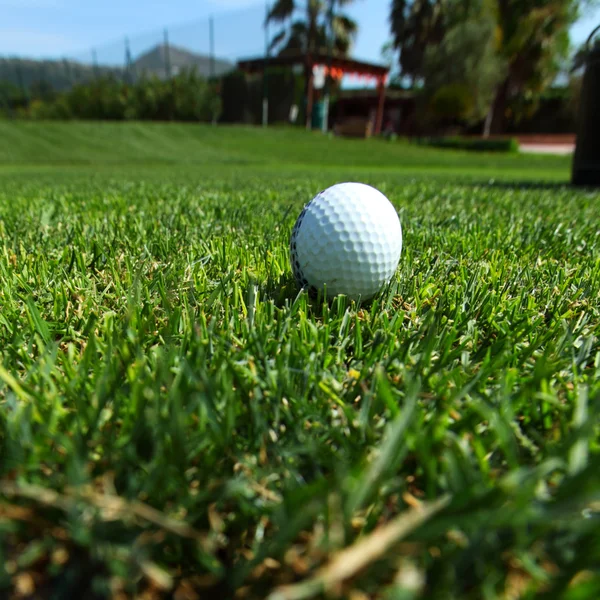 高尔夫球课程 — 图库照片
