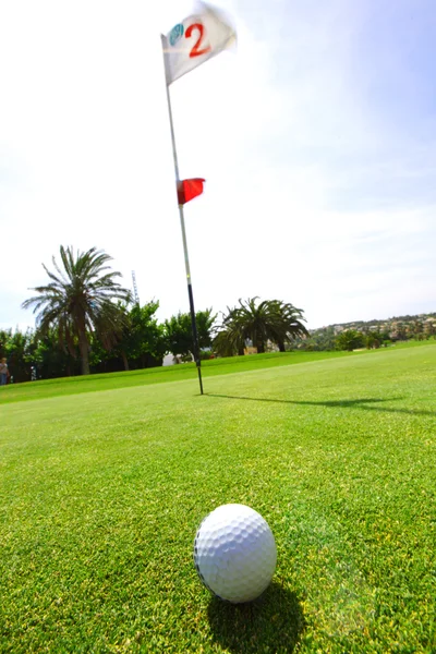 Golf-ball på kurs — Stockfoto