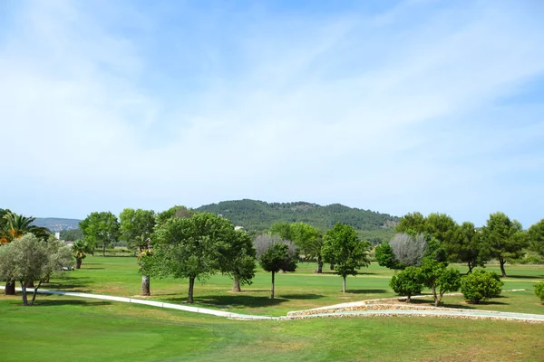 Yeşil çimenlerin üzerinde bir golf alanı — Stok fotoğraf