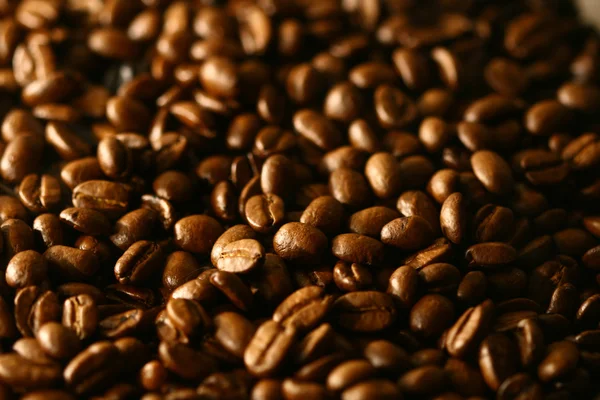 커피의 알갱이 — 스톡 사진