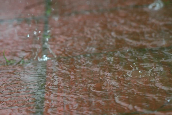 Outdoor rain — Stock Photo, Image