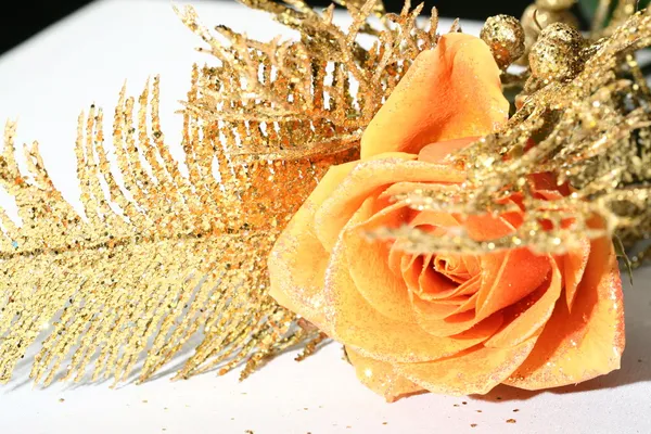 Pomarańczowy róża Zdjęcie Stockowe