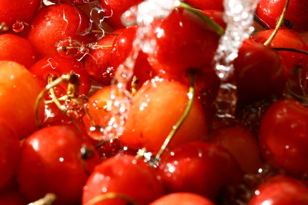 Sweet cherry under våta — Stockfoto